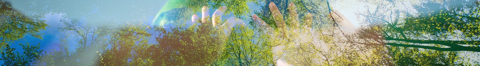 Children holding a planet with a photo of a forest overlayed.