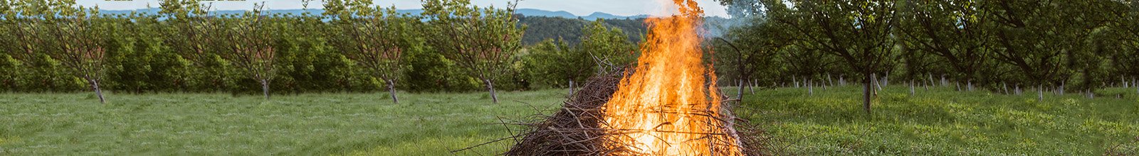 AGRICULTURAL_BURN