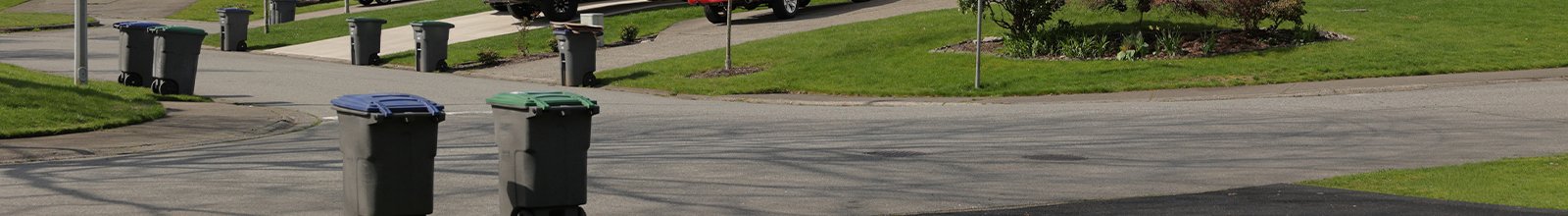 Houses along a residential street