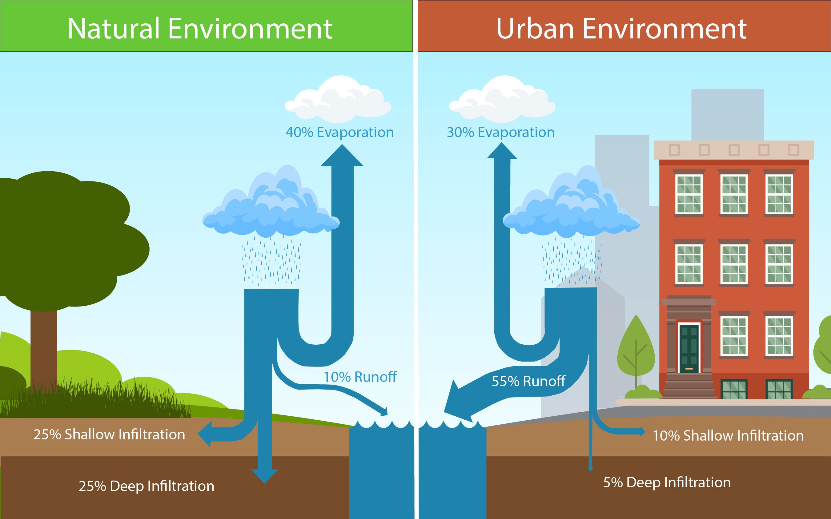 Graphic showing stormwater runoff in natural and urban environments Graphic showing stormwater runoff in natural and urban environments