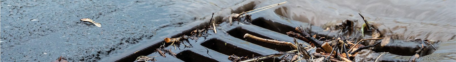 Strom drain with leafs and debris