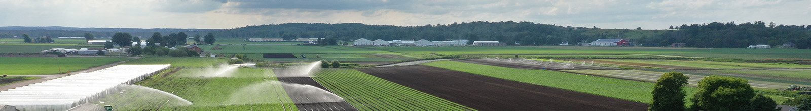 Image of the Holland Marsh with green pastures and sprinklers