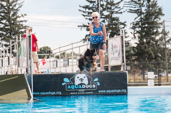 dogs dock diving competition