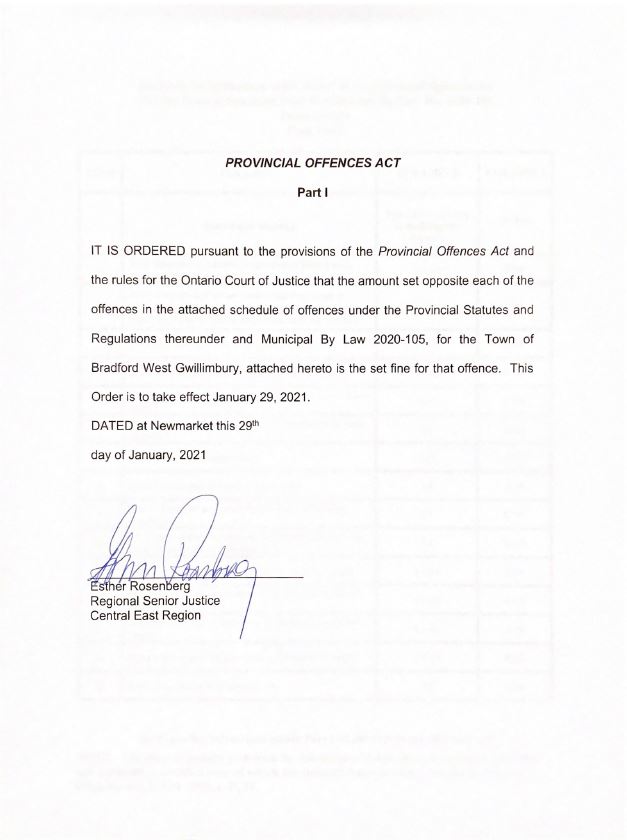 Picture of Order signed by the Ontario Court of Justice 