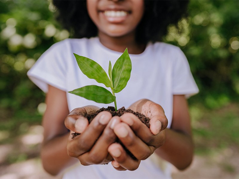 A person holding a green leaf on a bed of dirt in their hands