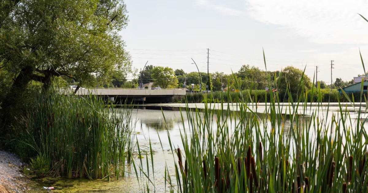 Photo of the Holland River Bridge