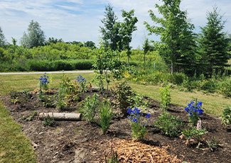 Image of Henderson Pollinator Garden