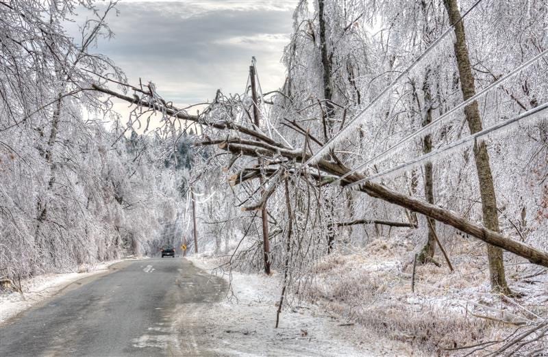image of ice covered downed trees and power lines