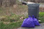 garbage bag and bin