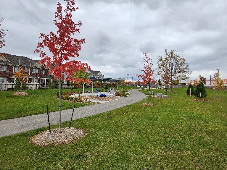 Angela Parkette Angela Parkette