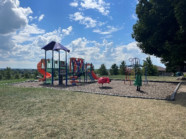 Davey Lookout Davey Lookout