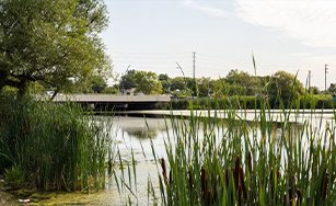 Holland River Bridge Construction